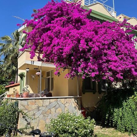Villa Konak Club Alanya Exterior photo