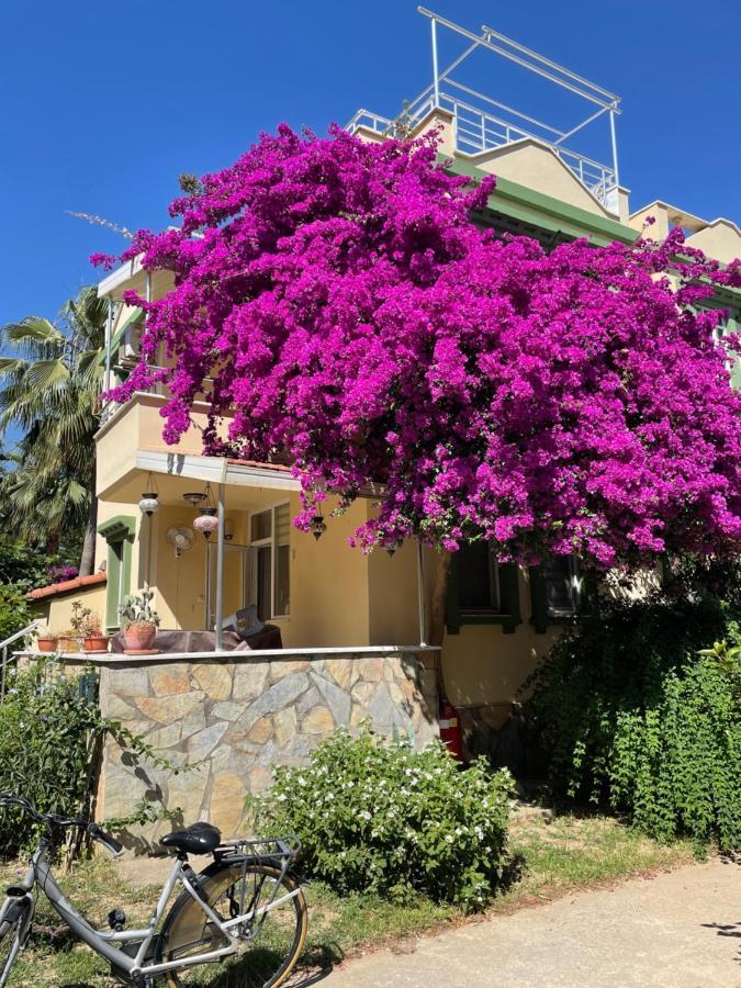 Villa Konak Club Alanya Exterior photo